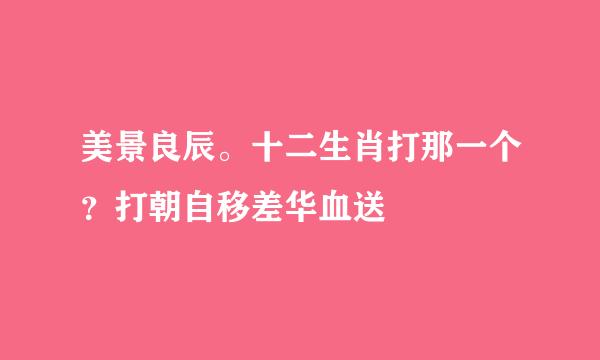 美景良辰。十二生肖打那一个？打朝自移差华血送