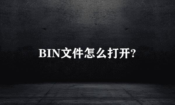 BIN文件怎么打开?