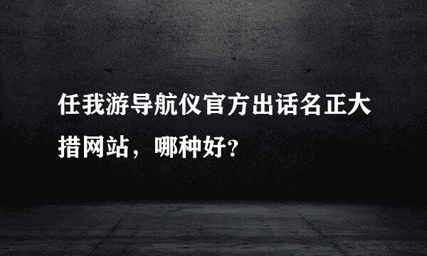 任我游导航仪官方出话名正大措网站，哪种好？