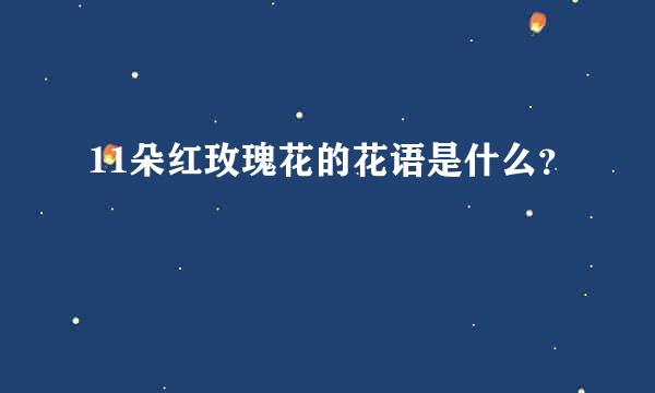 11朵红玫瑰花的花语是什么？