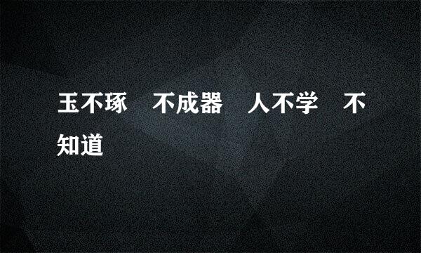 玉不琢 不成器 人不学 不知道