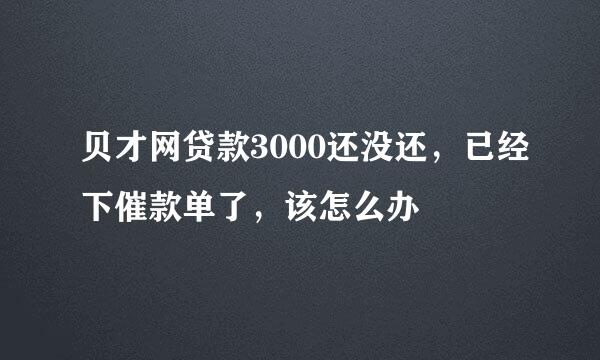 贝才网贷款3000还没还，已经下催款单了，该怎么办