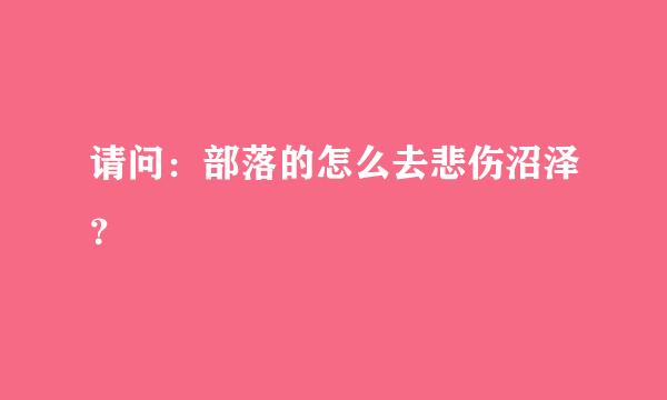 请问：部落的怎么去悲伤沼泽？