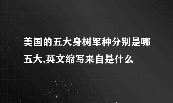 美国的五大身树军种分别是哪五大,英文缩写来自是什么