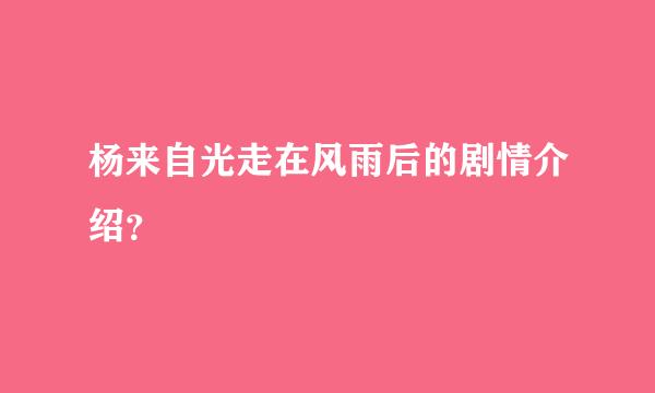 杨来自光走在风雨后的剧情介绍？