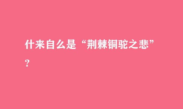 什来自么是“荆棘铜驼之悲”？