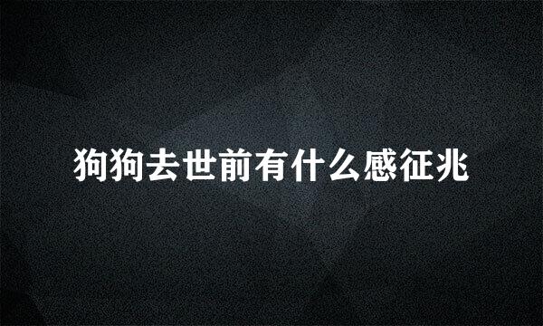 狗狗去世前有什么感征兆