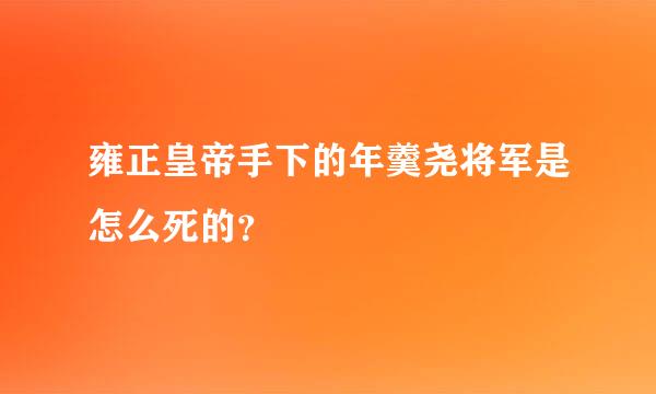 雍正皇帝手下的年羹尧将军是怎么死的？