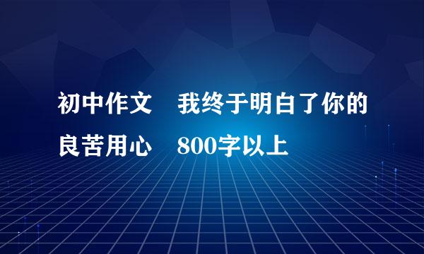 初中作文 我终于明白了你的良苦用心 800字以上