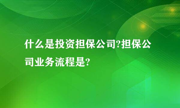 什么是投资担保公司?担保公司业务流程是?