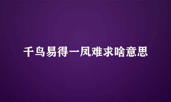 千鸟易得一凤难求啥意思