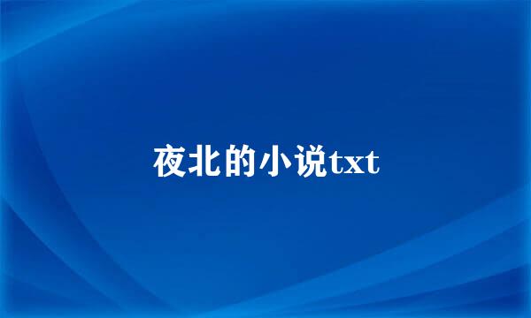 夜北的小说txt