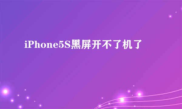 iPhone5S黑屏开不了机了