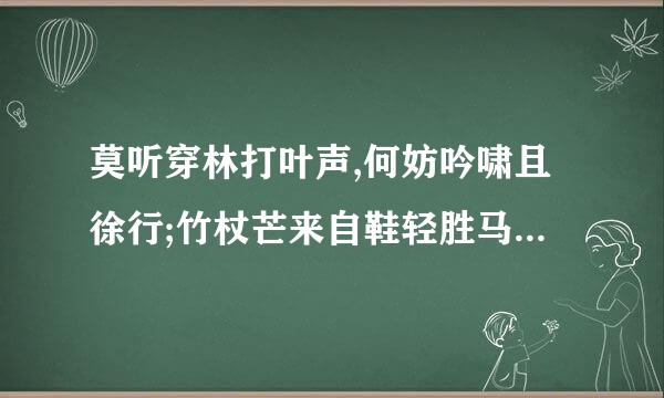 莫听穿林打叶声,何妨吟啸且徐行;竹杖芒来自鞋轻胜马,谁怕!一蓑烟雨任平生什么意思