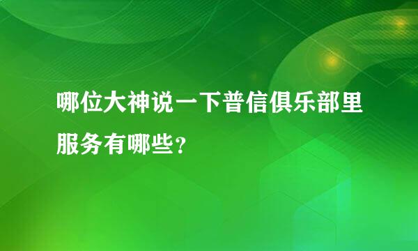 哪位大神说一下普信俱乐部里服务有哪些？