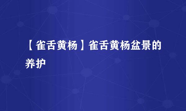 【雀舌黄杨】雀舌黄杨盆景的养护