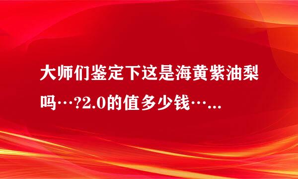 大师们鉴定下这是海黄紫油梨吗…?2.0的值多少钱…?谢谢…!