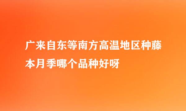 广来自东等南方高温地区种藤本月季哪个品种好呀