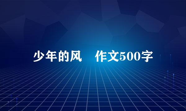 少年的风釆作文500字