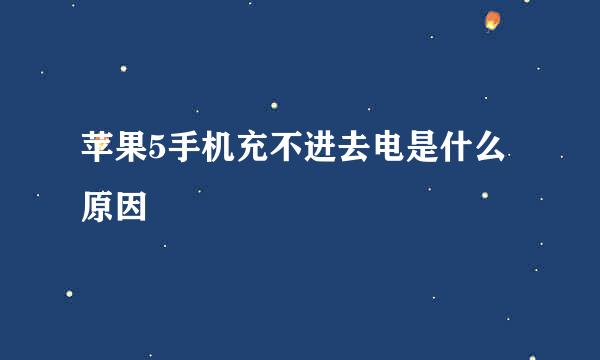 苹果5手机充不进去电是什么原因