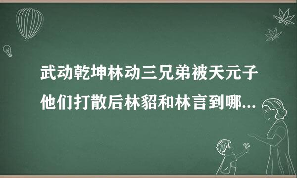 武动乾坤林动三兄弟被天元子他们打散后林貂和林言到哪去了，有什么经历?