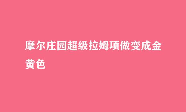 摩尔庄园超级拉姆项做变成金黄色