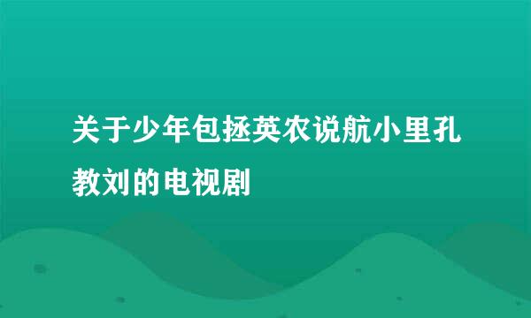 关于少年包拯英农说航小里孔教刘的电视剧