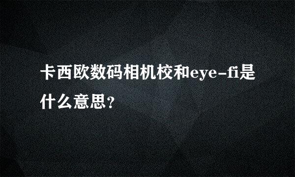 卡西欧数码相机校和eye-fi是什么意思？