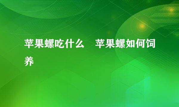 苹果螺吃什么 苹果螺如何饲养