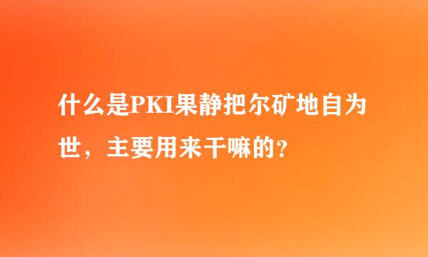 什么是PKI果静把尔矿地自为世，主要用来干嘛的？