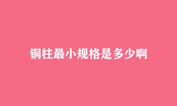 铜柱最小规格是多少啊