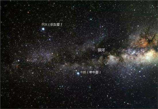 牛郎星和织女星分别属于什么星座？