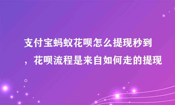 支付宝蚂蚁花呗怎么提现秒到，花呗流程是来自如何走的提现。