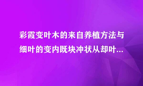 彩霞变叶木的来自养植方法与细叶的变内既块冲状从却叶木一样吧？