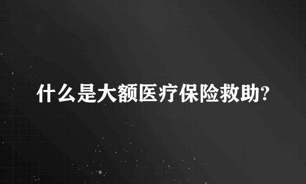 什么是大额医疗保险救助?