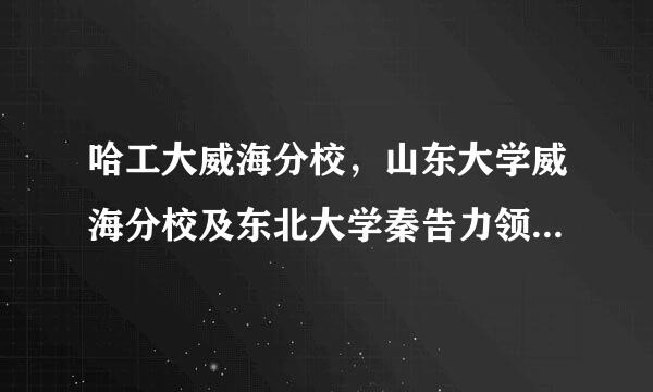 哈工大威海分校，山东大学威海分校及东北大学秦告力领少算迫作皇岛分校哪个好