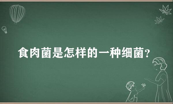 食肉菌是怎样的一种细菌？