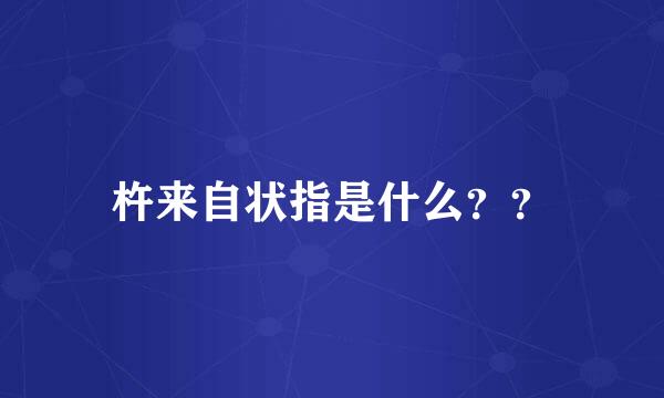 杵来自状指是什么？？