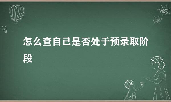 怎么查自己是否处于预录取阶段