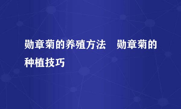 勋章菊的养殖方法 勋章菊的种植技巧