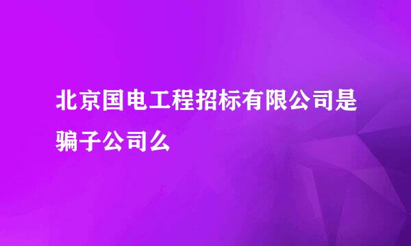 北京国电工程招标有限公司是骗子公司么