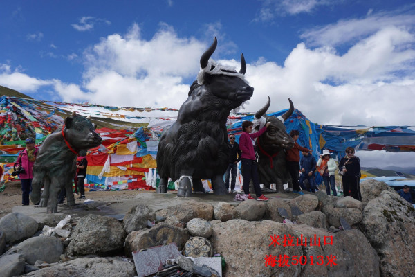 去西藏频绿案握土费值强械米担心高原反应怎么办？