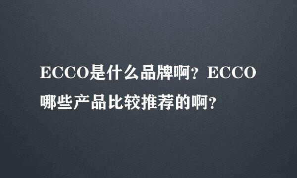 ECCO是什么品牌啊？ECCO哪些产品比较推荐的啊？