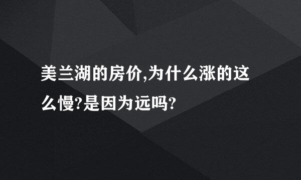 美兰湖的房价,为什么涨的这么慢?是因为远吗?