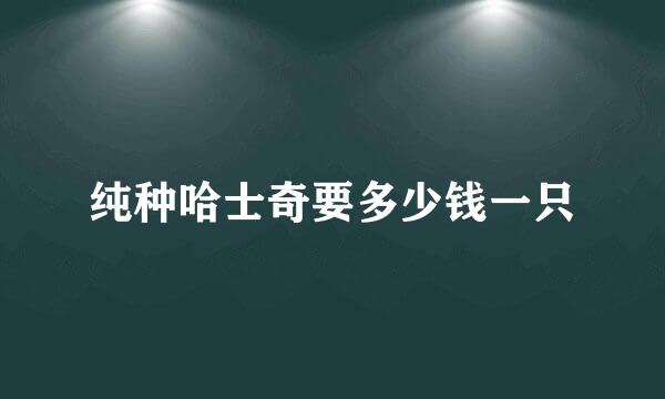 纯种哈士奇要多少钱一只