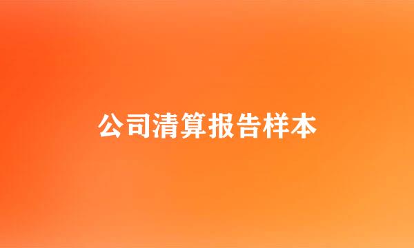 公司清算报告样本