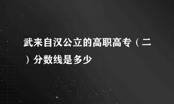 武来自汉公立的高职高专（二）分数线是多少