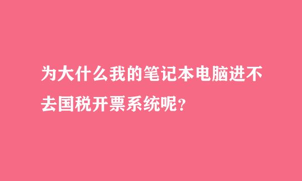 为大什么我的笔记本电脑进不去国税开票系统呢？