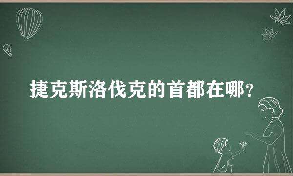 捷克斯洛伐克的首都在哪？