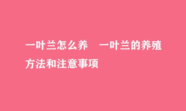 一叶兰怎么养 一叶兰的养殖方法和注意事项